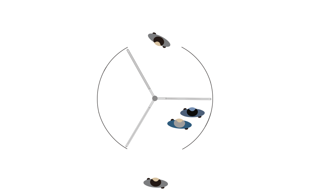 6.gif