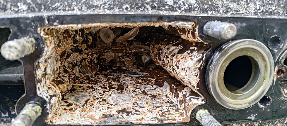 marine growth | mercruiser inboard | The Mobile Mariner | Florida