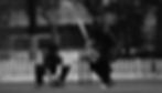 cricket.jpg