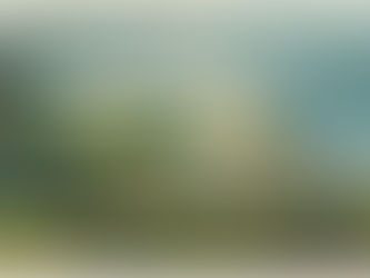 Bộ sưu tập tranh cánh đồng hoa treo phòng khách nổi bật