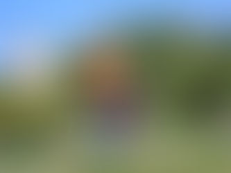 Les résultats et les photos sont en ligne ! 📸