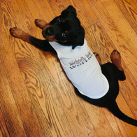 Xena, our mascot <3