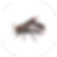 image (4).png