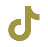 TikTok icon linking to Conscious Body Recovery’s Instagram profile