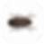 Group 19.png