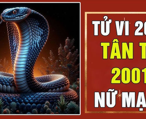 Tử Vi Tuổi Tân Tỵ 2001 Nữ Mạng 2025: Vận Hạn & Cơ Hội Nào Đang Chờ Đón?