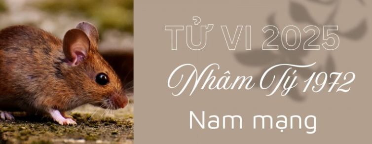 Tổng Quan Tử Vi Tuổi Nhâm Tý 1972 Nam Mạng Năm 2025