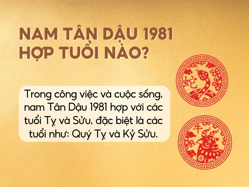 Phân Tích Năm 2025 Tuổi Tân Dậu Nên Làm Ăn Với Tuổi Nào, Tránh Tuổi Nào