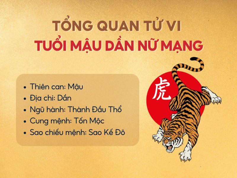 Tổng quan tử vi tuổi Mậu Dần 1998 nữ mạng năm 2025