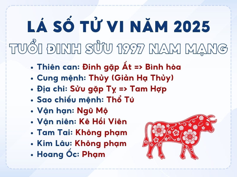 Tổng quan tử vi Tuổi Đinh Sửu 1997
