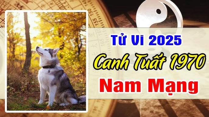 Xem Vận Hạn Tuổi Canh Tuất 1970 Nam Mạng Năm 2025: Tử Vi Toàn Diện, Cơ Hội và Thách Thức