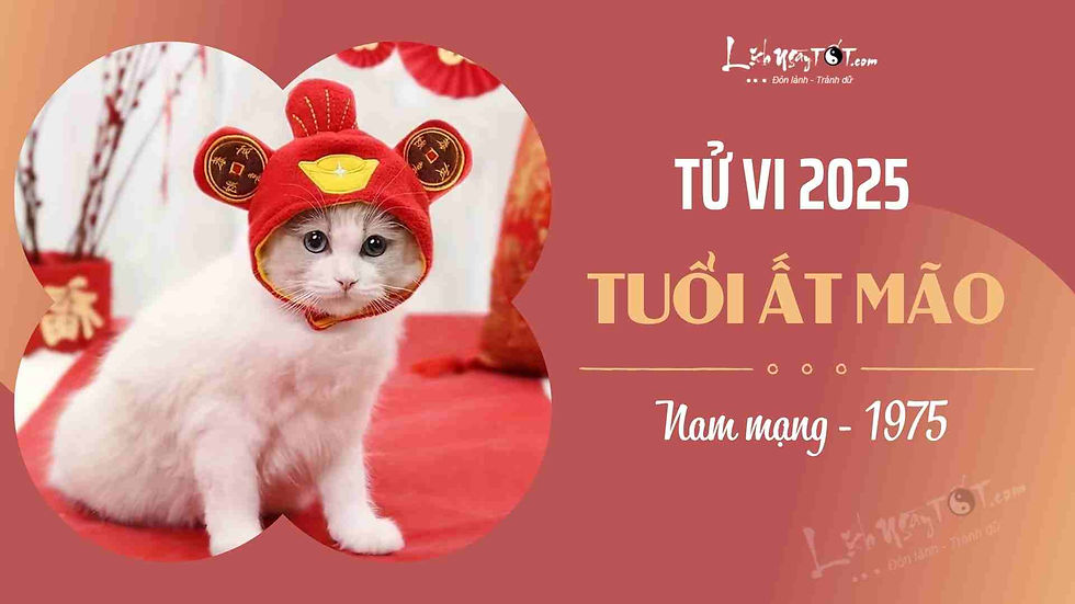 Tử Vi Nam Mạng Ất Mão 1975 Năm 2025: Đối Diện Thử Thách, Hóa Giải Vận Hạn