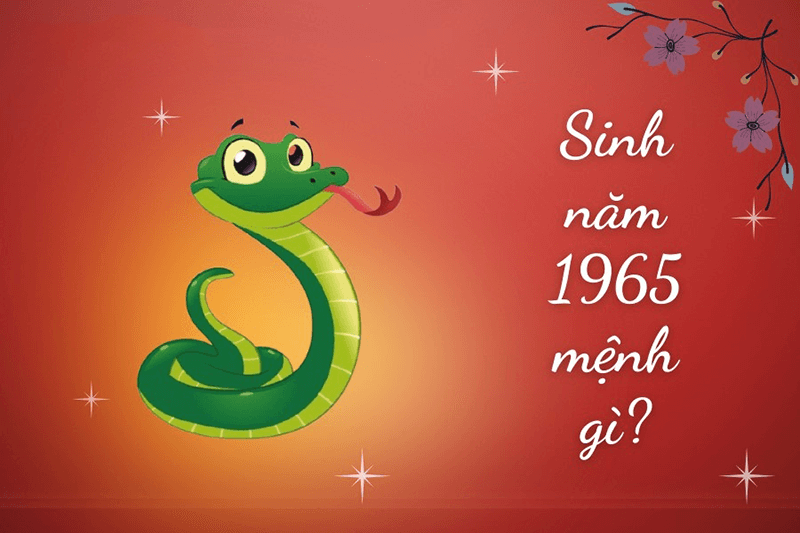 Tổng Quan Tử Vi