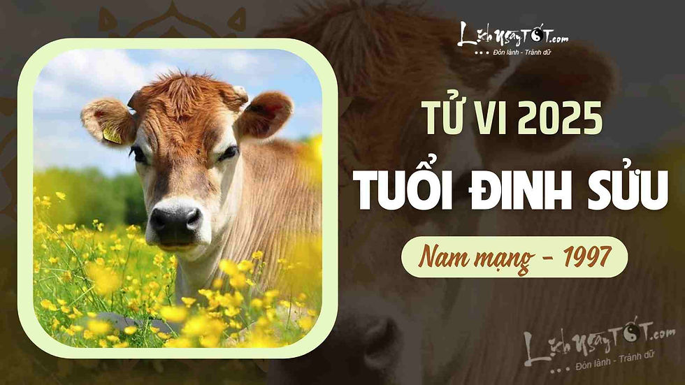 TỬ VI TUỔI ĐINH SỬU 1997 NAM MẠNG 2025: LUẬN GIẢI CHI TIẾT VẬN HẠN