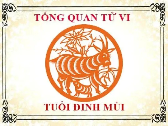 Tổng quan tử vi tuổi Đinh Mùi 1967 nam mạng năm 2025