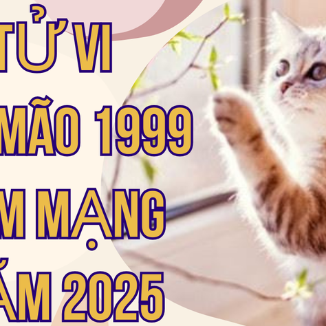 Kỷ Mão 1999 Nam Mạng 2025: Luận Giải Chi Tiết Vận Hạn Tài Lộc, Sức Khỏe, Tình Duyên
