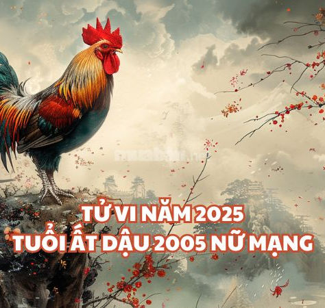 Xem Tử Vi Ất Dậu 2005 Nữ Mạng 2025: Tình Duyên, Tài Lộc, Sức Khỏe