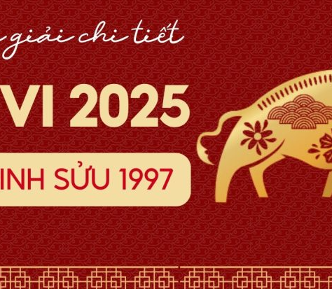 Tử Vi Tuổi Đinh Sửu 1997 Nữ Mạng năm 2025: Vận Hạn, Tình Duyên, Tài Lộc Chi Tiết