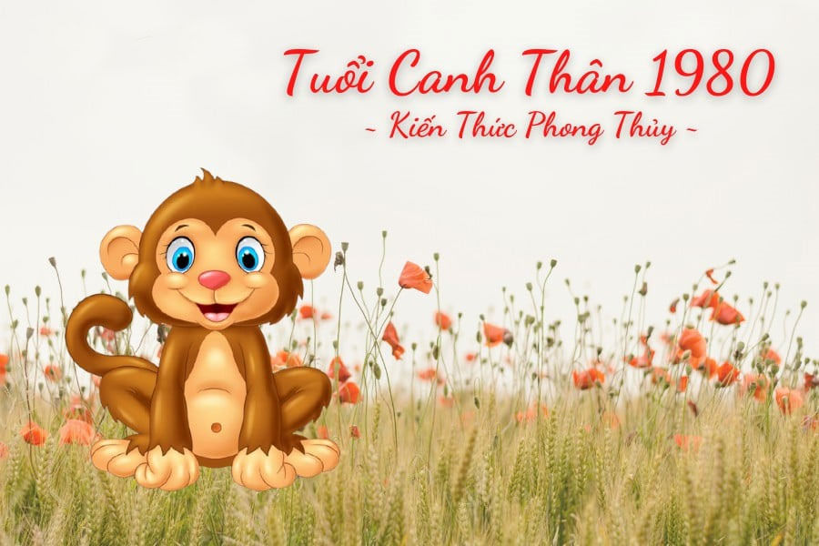 Luận Giải Sức Khỏe Tổng Quát và Chi Tiết Theo Các Tháng