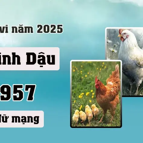 Tử vi tuổi Đinh Dậu 1957 nữ mạng năm 2025: Khám phá vận may và thách thức