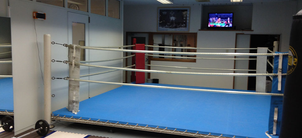 Blaze ブレイズ ボクシング スクール Blaze ブレイズ ボクシング スクール