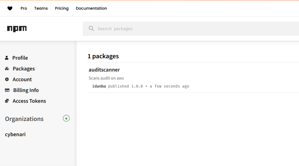 The NodeJS package on npmjs containing the canary token