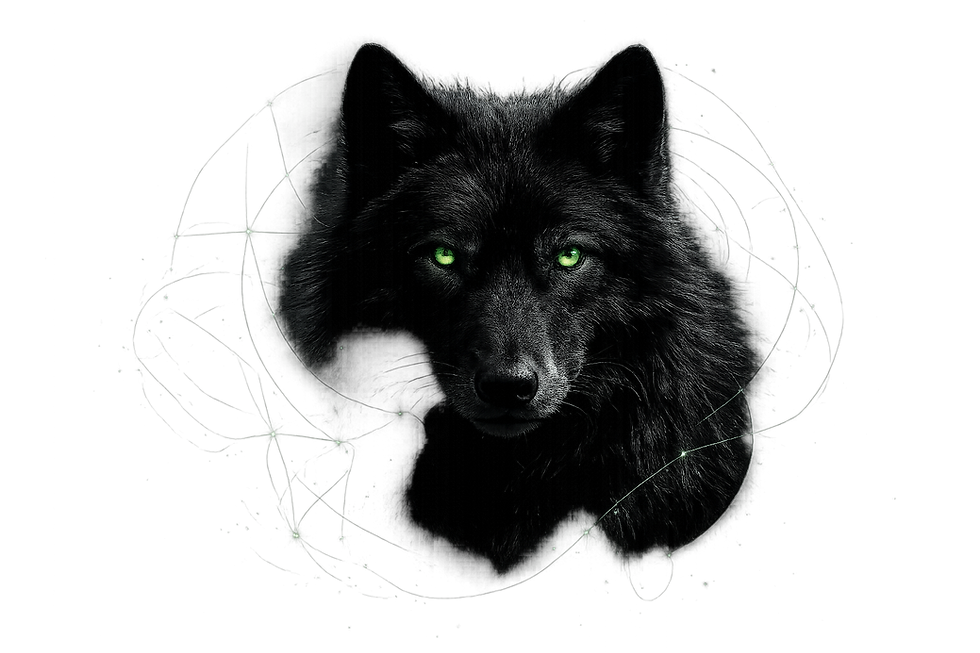 wolf image.png