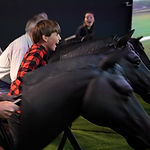 racehorse.jpg