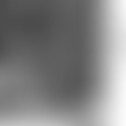 From Occupation(s) to a Heritage Profession