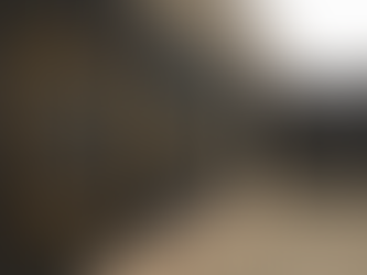 Deaccessioning: being a profession means the strength to follow one’s mission