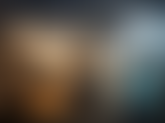 Can Memory Institutions Transcend Schizoid Reality?