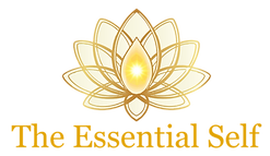 Logo transparent_edited_edited.png