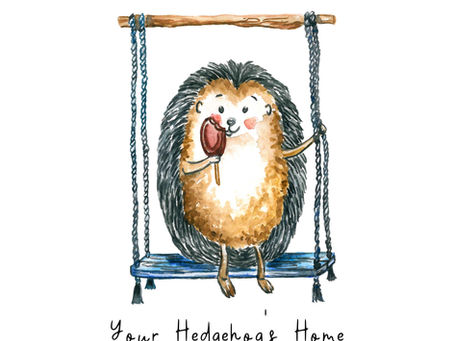 Your Hedgehog’s Home