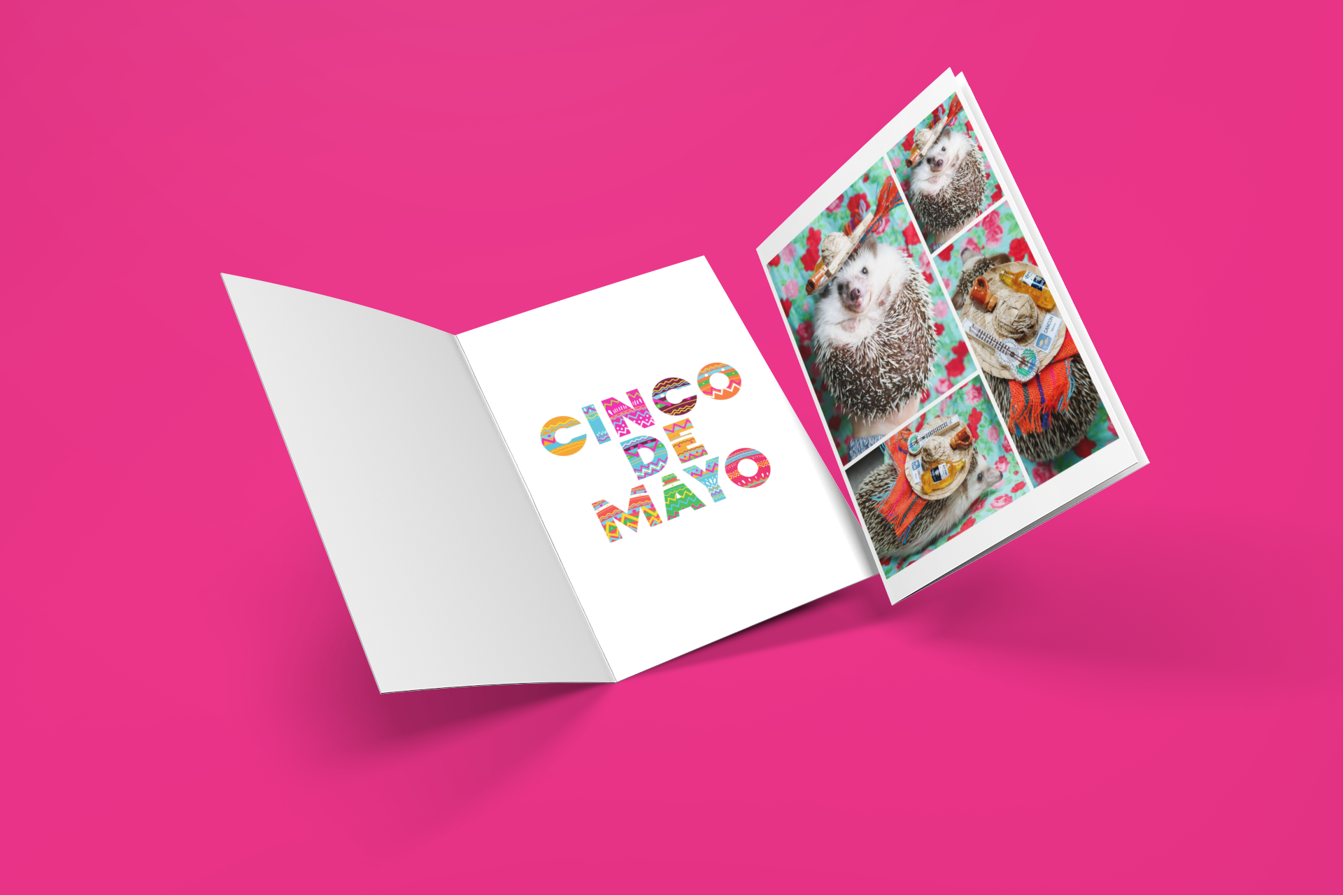Hedgehog Cinco De Mayo Cards | Pack of 10 Folded Cards With Envelopes