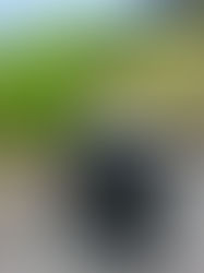 I’m My Mother’s Daughter - I’m My Mother’s Advocate