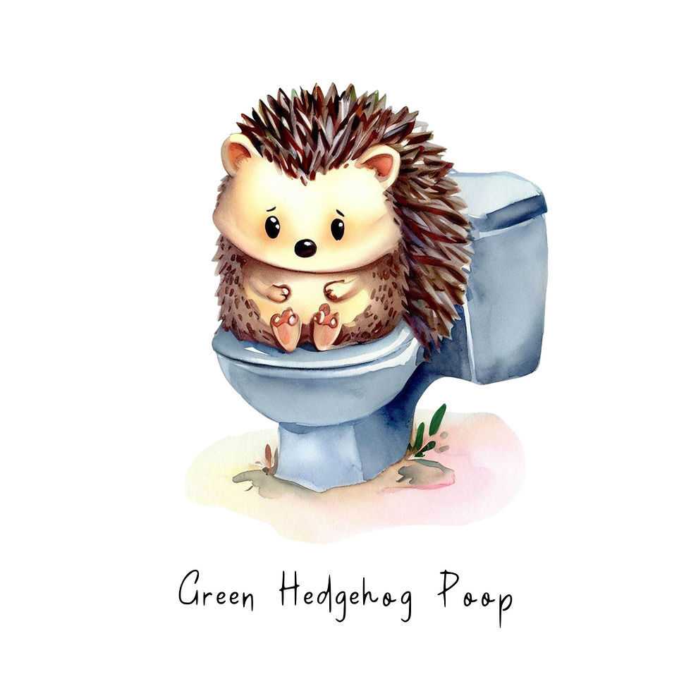 Understanding Green Hedgehog Poop Color Causes and Concerns