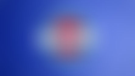 Local Athletes Recognized for Success in Classroom