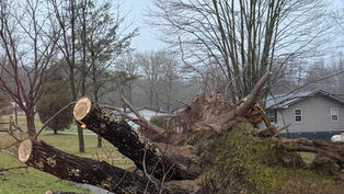 Tornado, Straight-Line Winds, and Flooding Hit the Area