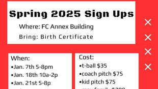 Spring Baseball Sign Ups Begin Tuesday Night