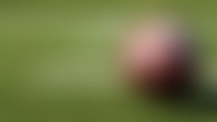 2025 Football Schedules for Franklin County and Huntland