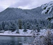 Obituary for Alan Wayne Harris