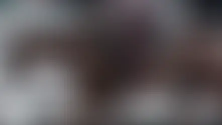 Jackie Summers, Sr. Obituary