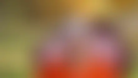 Sharon L. "Cookie" Taylor Obituary