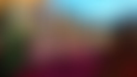 Dollywood Named Top Theme Park in America