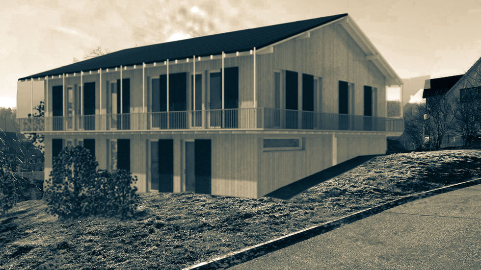 Visualisierung Neubau Mehrfamilienhaus  in Holzbauweise, Reigoldswil