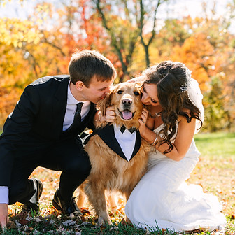 A newly married bride and groom share kisses with their fur child