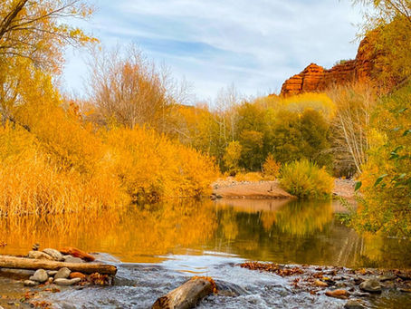 Falling for Fall: Arizona’s Best Spots