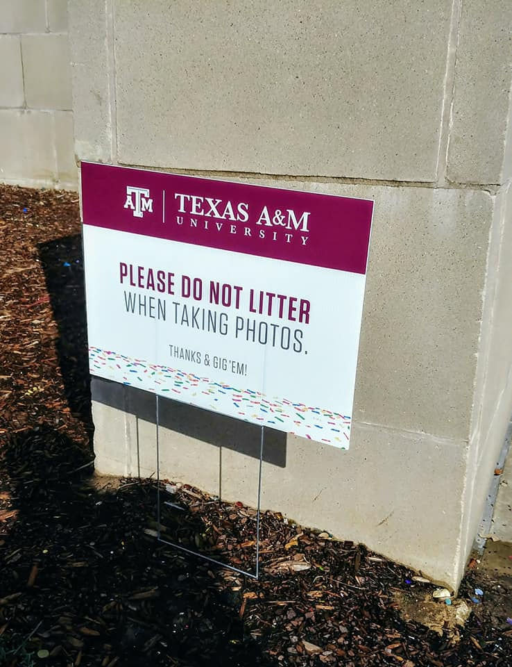 Glitter is Litter: How a Photography Trend is Damaging Our Environment