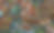 impuzzle web photo.png