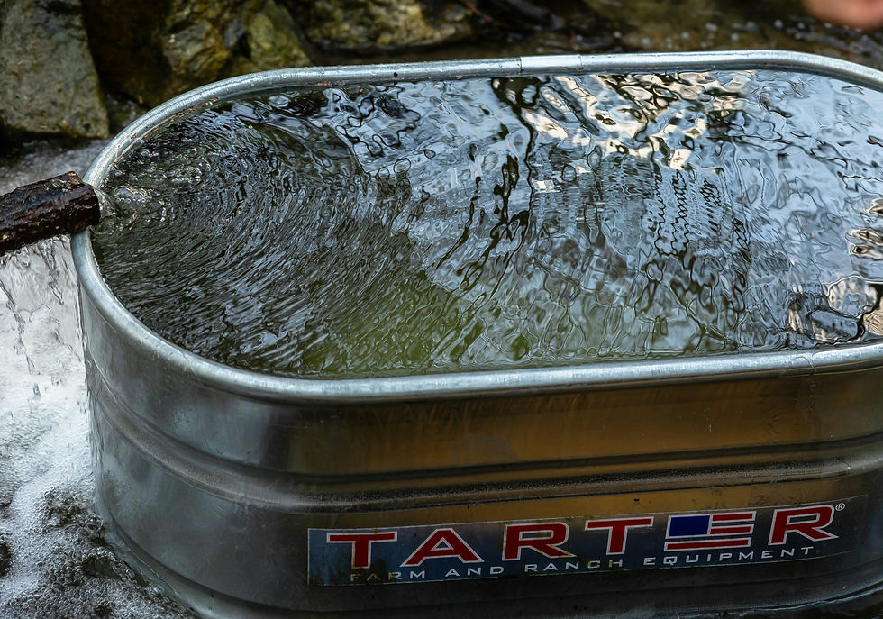 Cold plunge